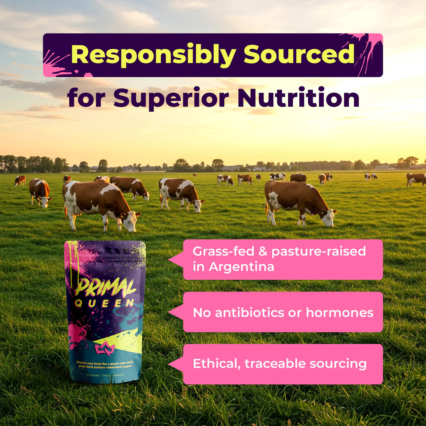 Primal Queen® – Beef Organ Superfood for Women
